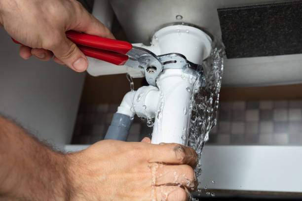 Best Mold removal after water damage  in Twin City, GA