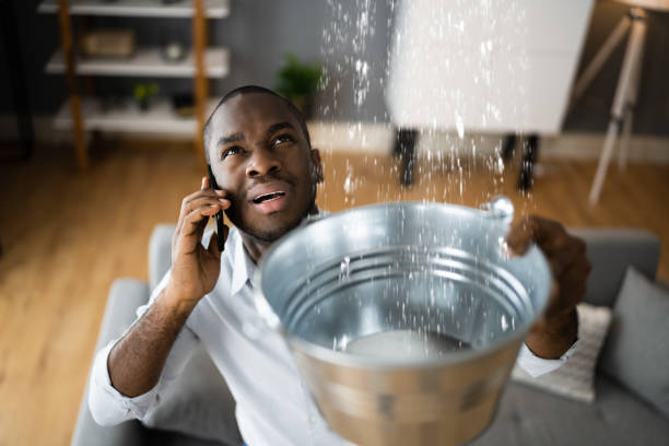 Best Water damage cleanup near me  in Twin City, GA