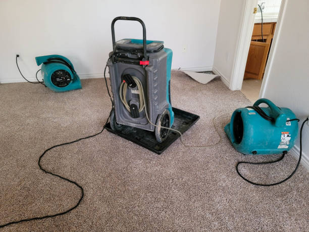 Best Commercial water damage restoration  in Twin City, GA