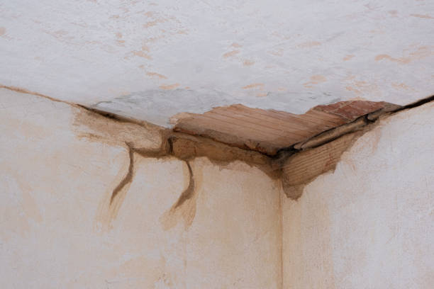 Water damage restoration mold remediation in GA
