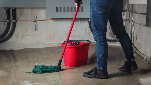 Best Water damage restoration company  in Twin City, GA