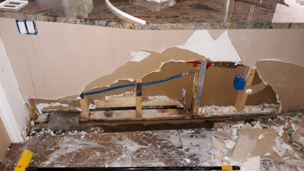 Best Basement water damage restoration  in Twin City, GA