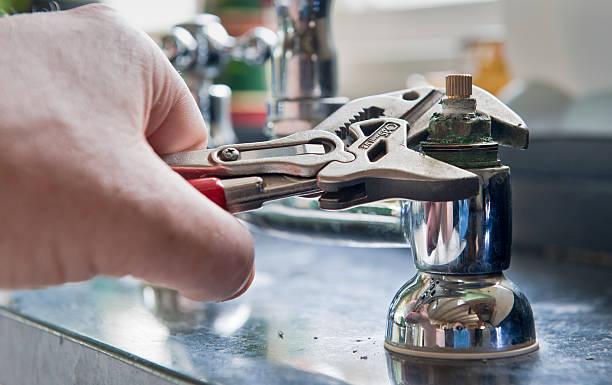 Best Professional water damage repair  in Twin City, GA