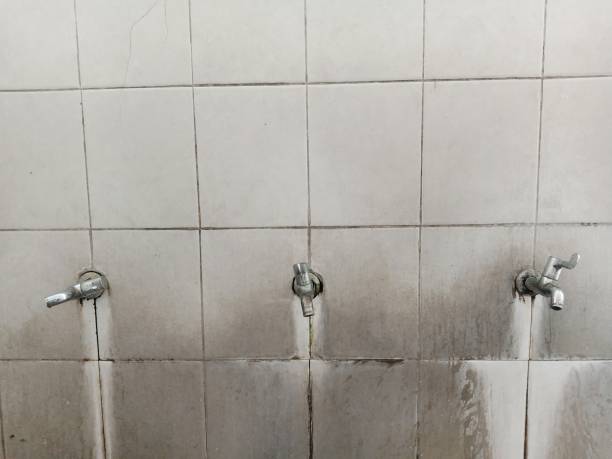 Best Local water damage restoration  in Twin City, GA