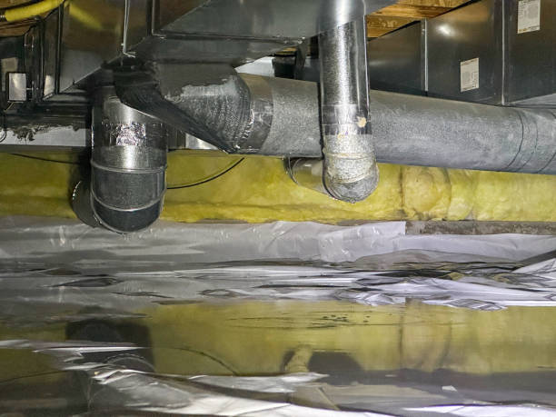 Best Flood damage cleanup  in Twin City, GA